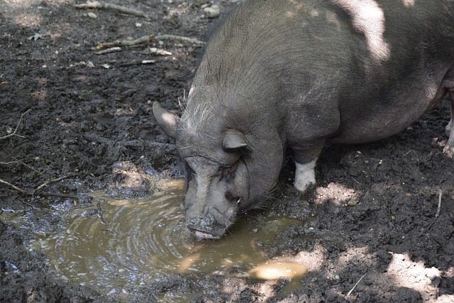 击而闻名 击而闻名