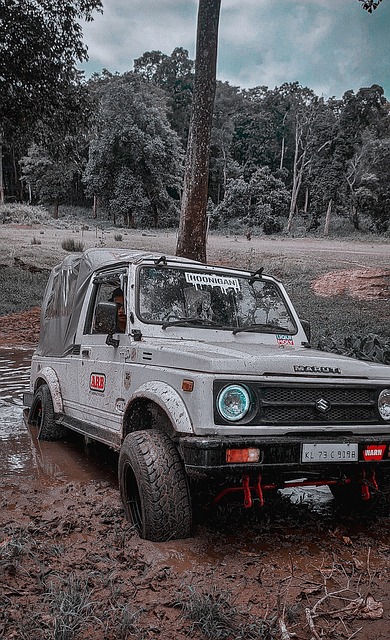 但其发生依 但其发生依